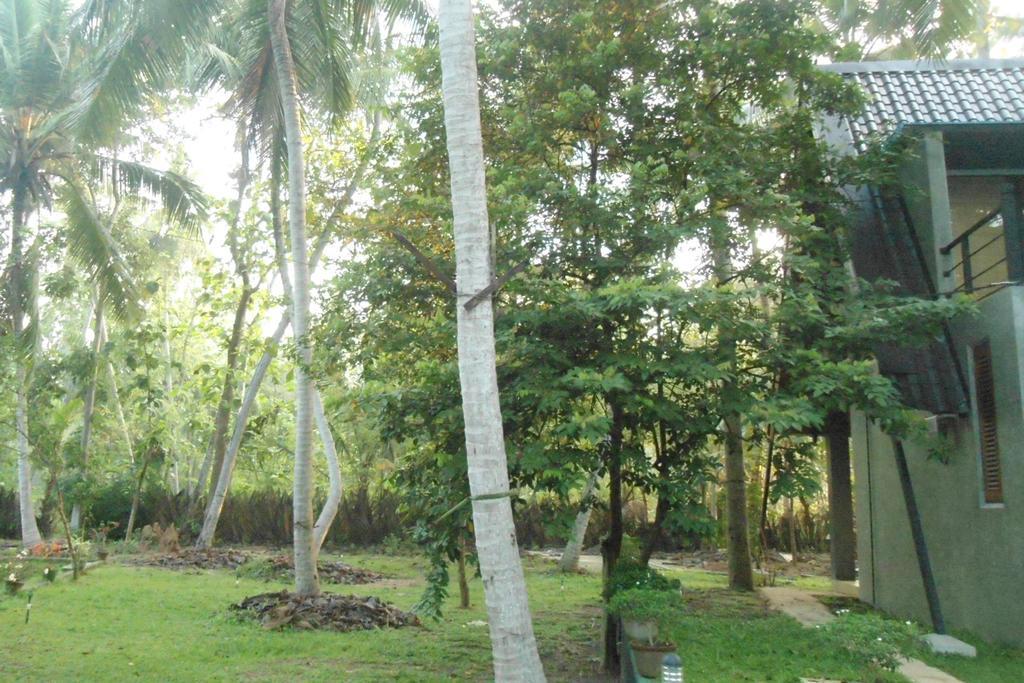Elegant Hamlets Home Stay Chilaw Extérieur photo
